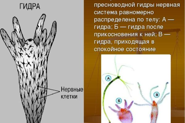 Кракен даркнет сайт ссылка